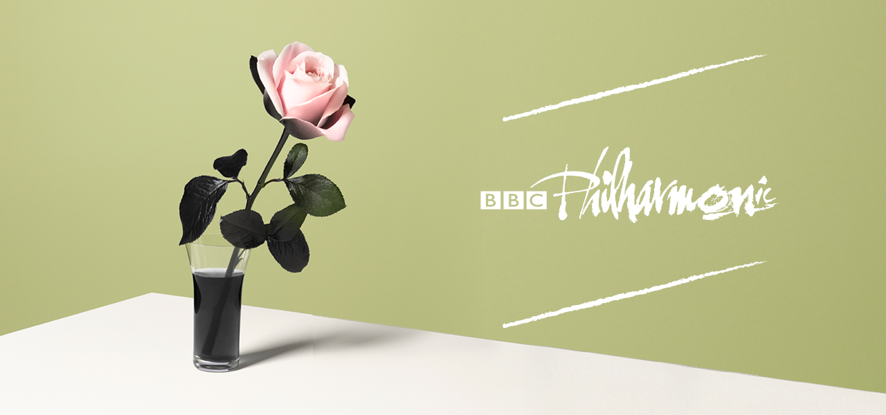 BBC Philharmonic logo to right, pink rose with black petal in vase of black water to left.