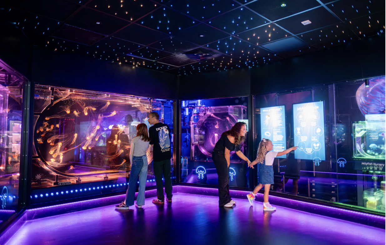 People looking at a digital exhibition